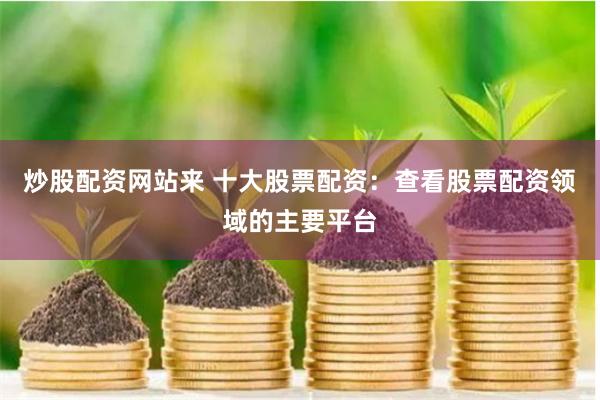 炒股配资网站来 十大股票配资：查看股票配资领域的主要平台