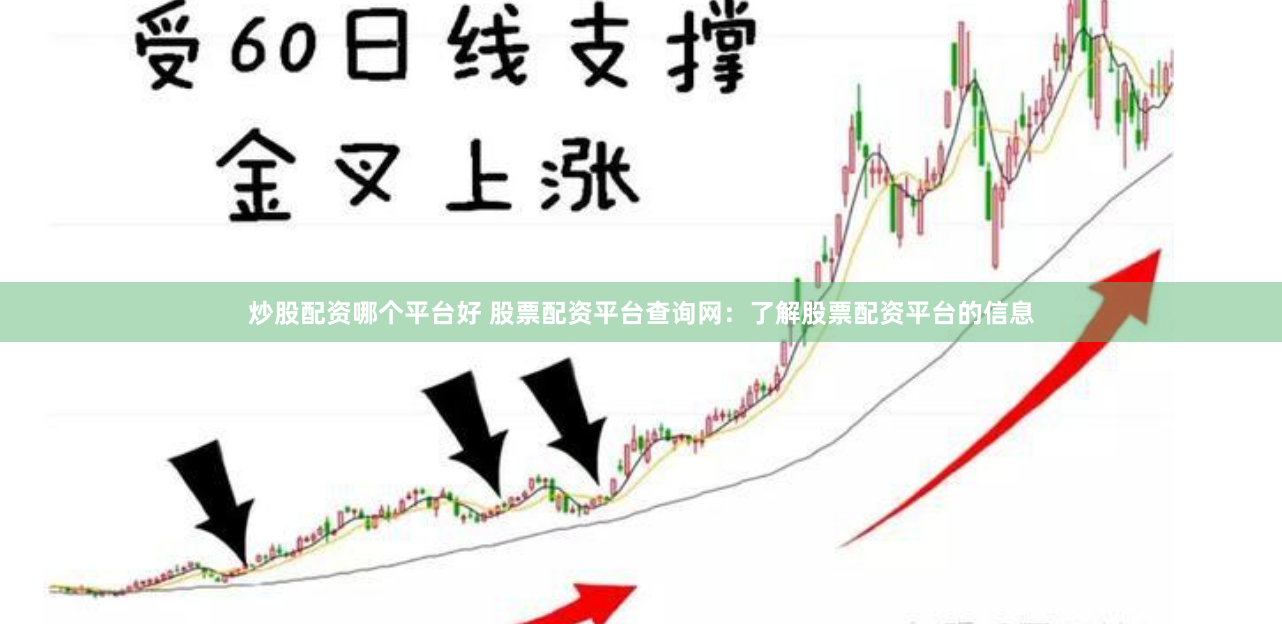 炒股配资哪个平台好 股票配资平台查询网：了解股票配资平台的信息