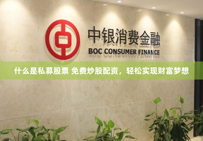 什么是私募股票 免费炒股配资,轻松实现财富梦想