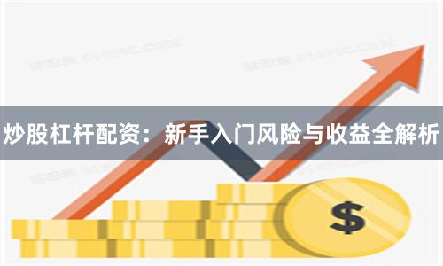 炒股杠杆配资：新手入门风险与收益全解析